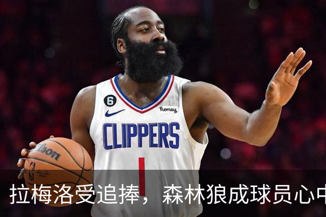 拉梅洛受追捧，森林狼成球员心中的理想之师